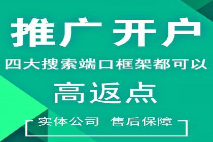 某电商平台SEM竞价广告的转化率提升案例